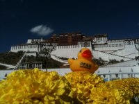 Lhasa_Potalakloster