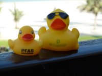 Pfab-Entlein trifft Arabischen Freund Jebel-Ali-Duck in Dubai.