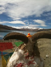 Yamzho Lake Ttibet