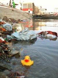 Hier schwimmt die Ente im Dreck, oje tut mir die Leid