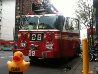 Fire Department New York