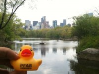 Central Park New York