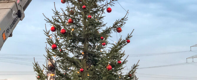 Pfabs Christbaum