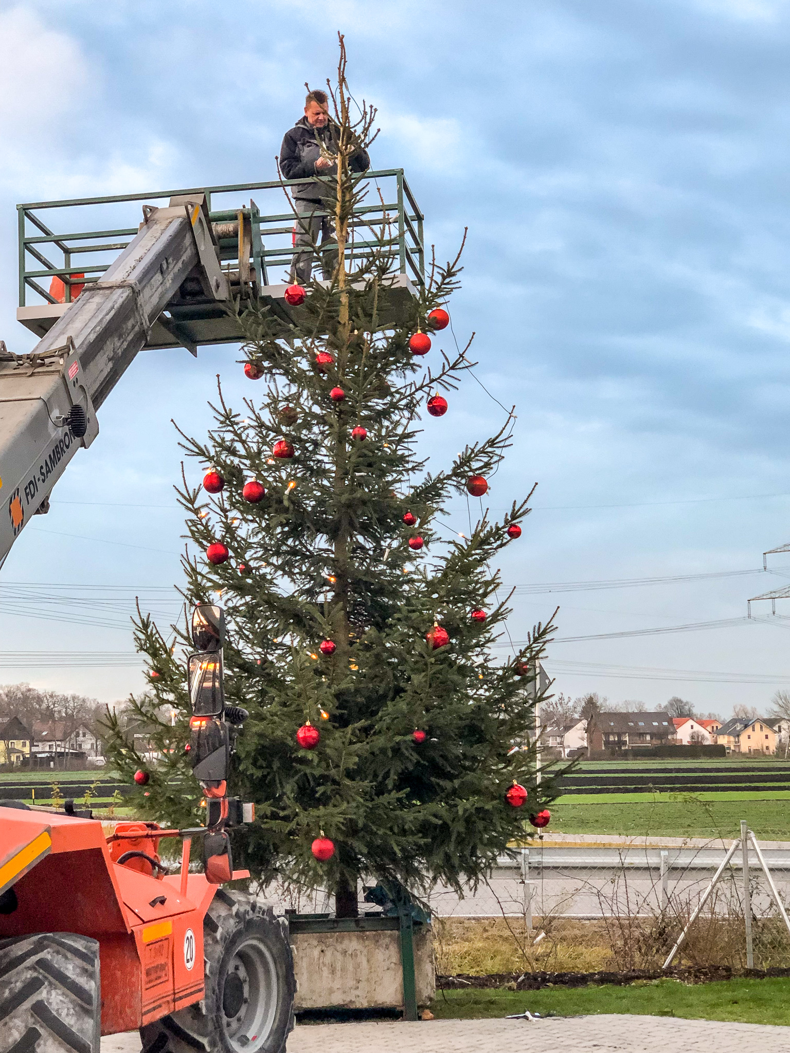 Pfabs Christbaum