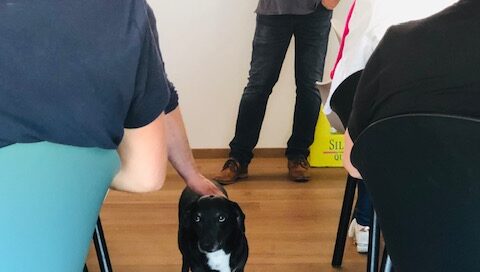 Seminar Hund