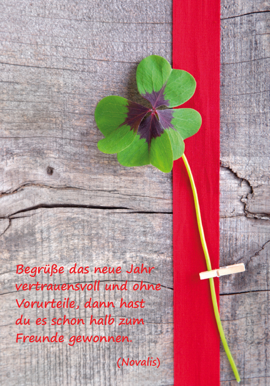 Neujahr 2013